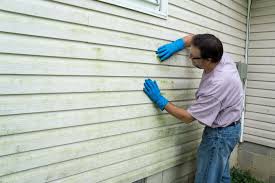 Best Custom Trim and Detailing for Siding  in Okemos, MI